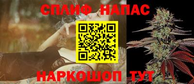 шишки Ярославль