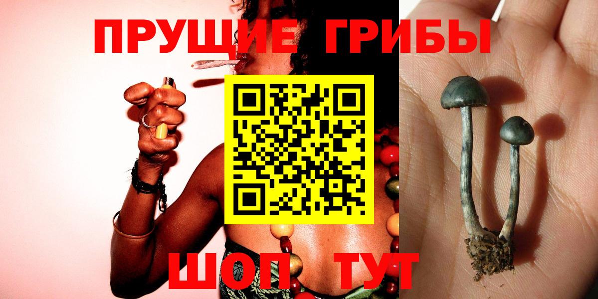 Медногорск  Галлюциногенные грибы Magic Shrooms  Галлюциногенные грибы мицелий  магазин продажи наркотиков  Вход с VPN 